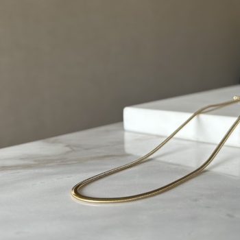 Collar Thin Flat Snake Waterproof