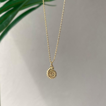 Collar Caracola Pendant Waterproof